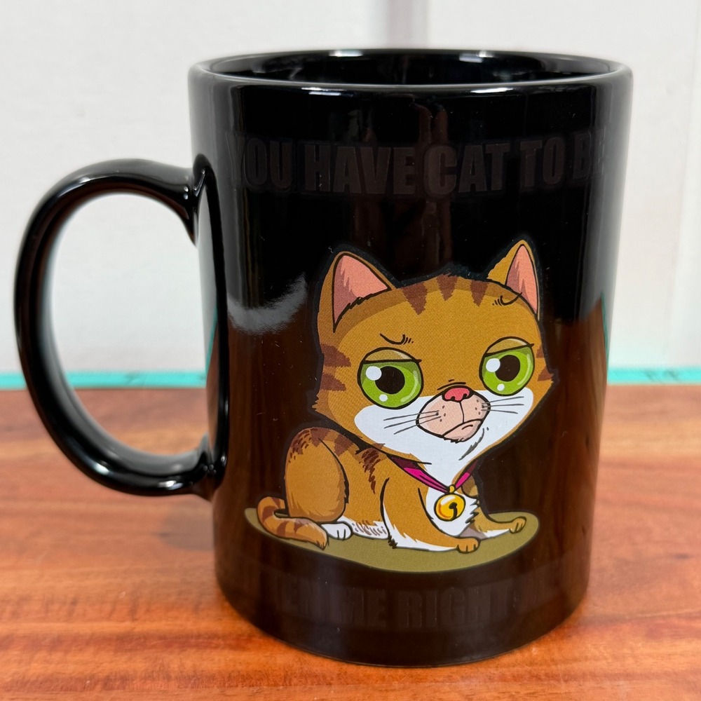BigMouth Inc You Have Cat To Be Kitten Me Right Meow Black Ceramic Coffee Mug